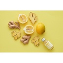 GINGER SHOT CITRON PACK DE 14X60ML