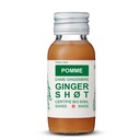 GINGER SHOT POMME PACK DE 14X60ML