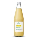 JUS DE GINGEMBRE NATURE 50CL